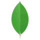 MongoDB